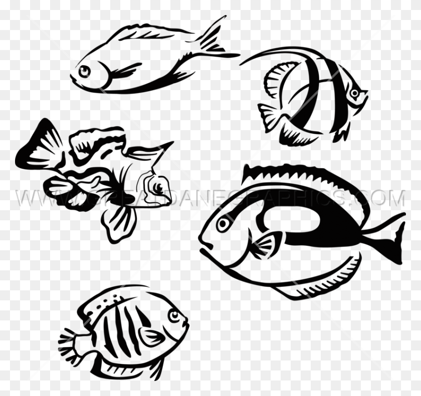 825x774 Tropical Fish Production Ready Artwork For T Shirt Printing - Tropical Fish PNG