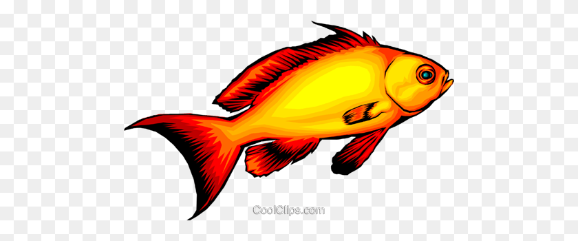 480x290 Тропические Рыбы Роялти Бесплатно Векторные Иллюстрации - Золотая Рыбка Клипарт