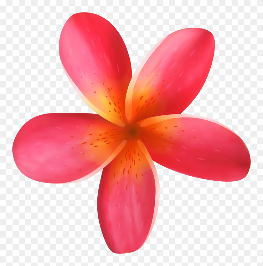 7884x8000 Tropical Flower Png Clip Art - Palm Tree Clipart PNG