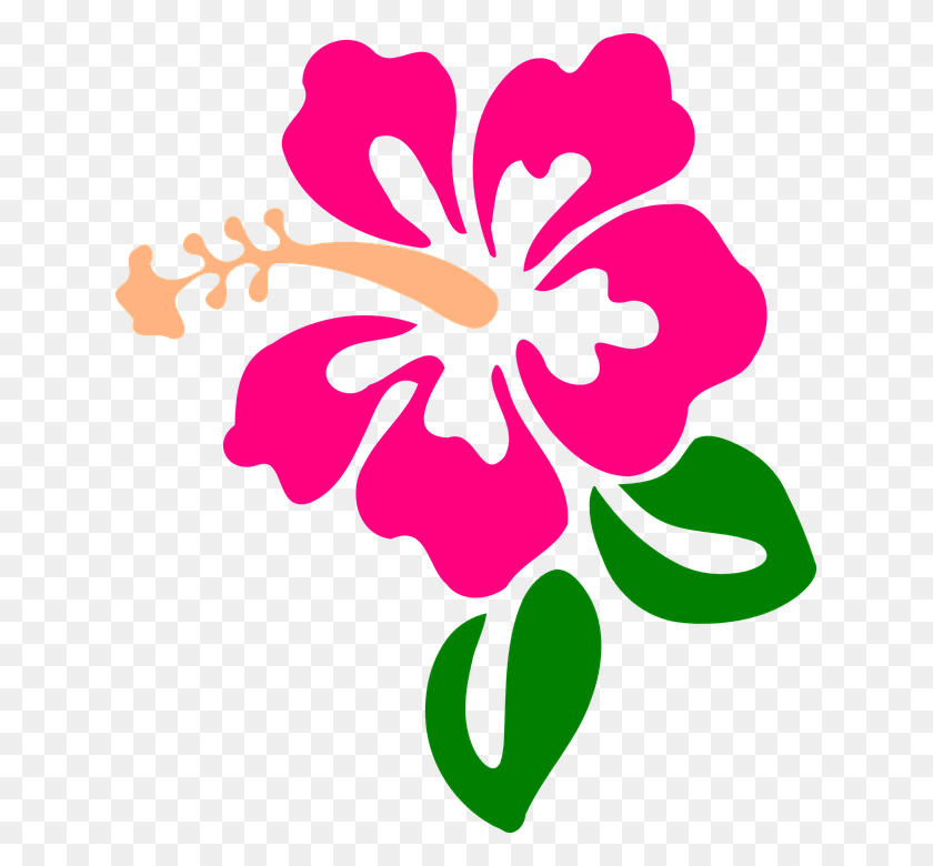 631x720 Набор Клипарт Тропические Цветы Тропический Румяна Розовый Цветок - Цветок Румяна Клипарт