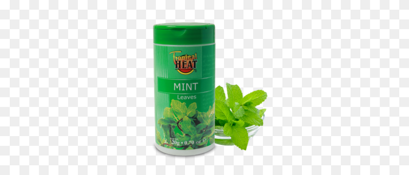 300x300 Tropical Heat Mint Rubbed Jar - Mint Leaves PNG