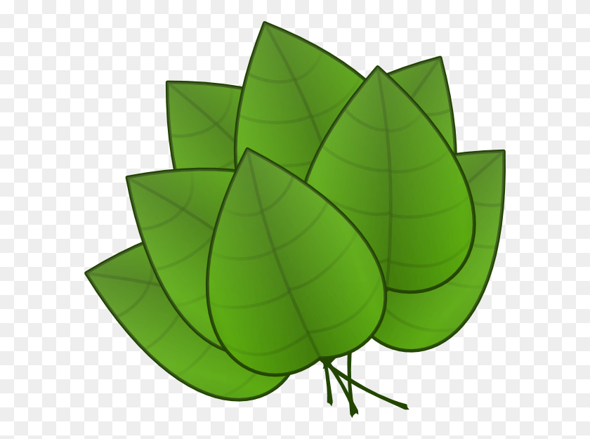 600x565 Tropical Leaf Cliparts - Tropical Leaves PNG