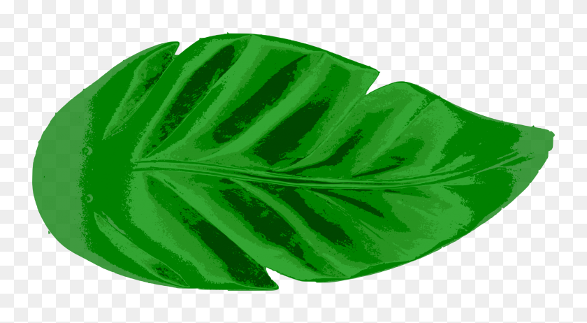 2400x1239 Tropical Leaf Icons Png - PNG Leaf
