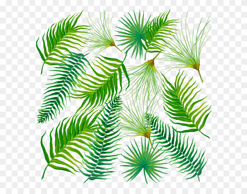 600x600 Tropical Leaves And Ferns Round Beach Towel For Sale - Palm Fronds PNG