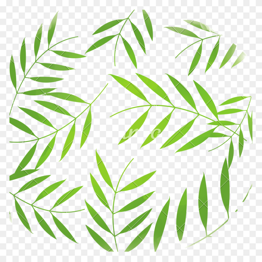 800x800 Tropical Leaves Background Design Vector Illustration - Tropical Leaf PNG