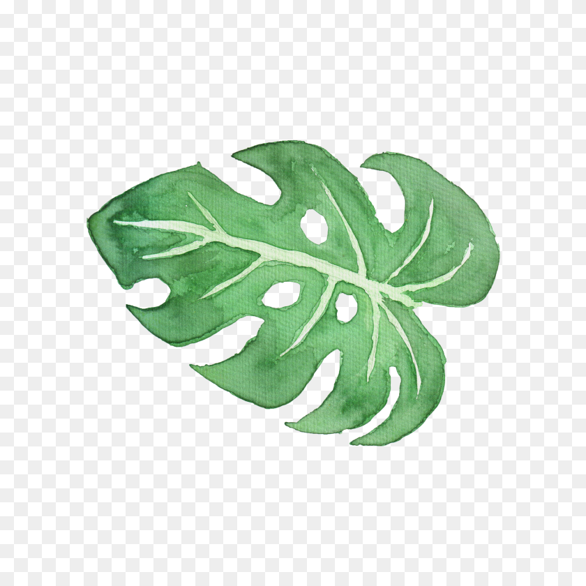 3000x3000 Tropical Leaves On Behance - Watercolor Leaf PNG