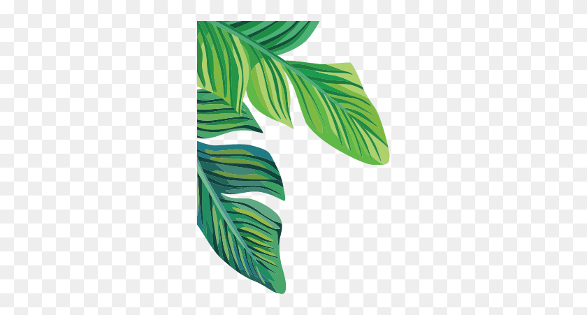 276x391 Plantas Tropicales Hojas De Plátano Freetoedit - Hoja Tropical Png