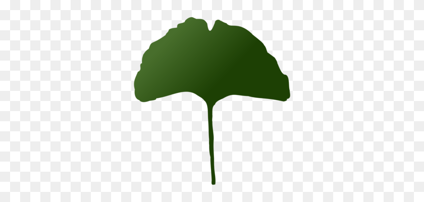 314x340 Тропический Лес Растения Лист Рисунок Тропики - Листья Джунглей Клипарт