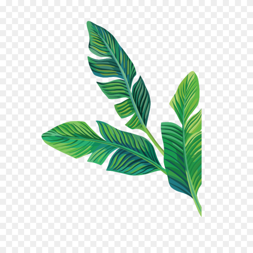 2896x2896 Tropical Stickers Transparent Aesthetic Cute Filter Flo - Tropical Plant PNG