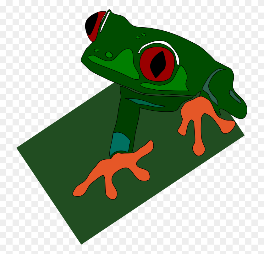 735x750 True Frog The Tree Frog Lithobates Clamitans Red Eyed Tree Frog - Red Eyed Tree Frog Clipart