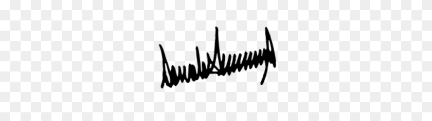 256x177 Trump Xmas - Donald Trump Signature PNG