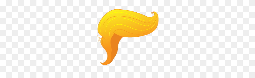 276x199 Trumpit - Trump Hair PNG