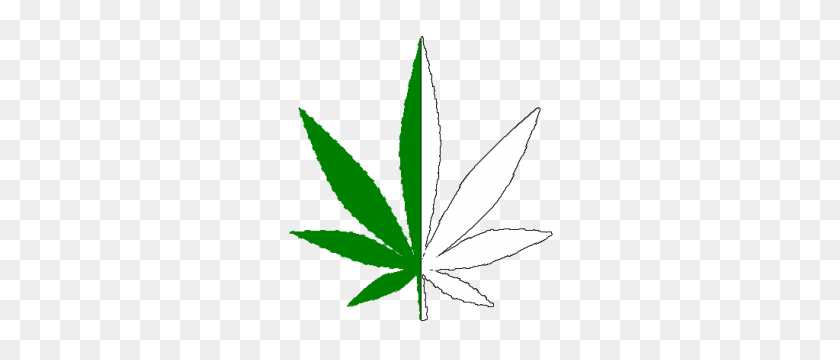 282x300 Tsi Cannabis Investing Bulletins August - Marijuana Leaf PNG