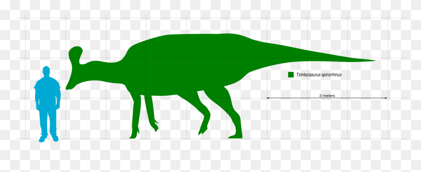 3741x1366 Tsintaosaurus Scale - Scale Figure PNG