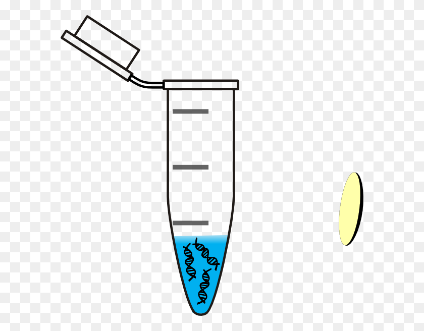 600x596 Tube Dna Water Clip Art - Water Line Clipart