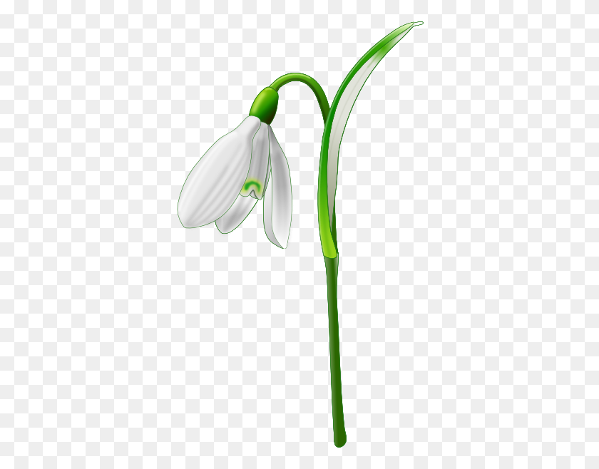 348x598 Tubes Fleurs Png Amusez Vous Bienxoxo Caroline Rastliny - Spring Flowers PNG