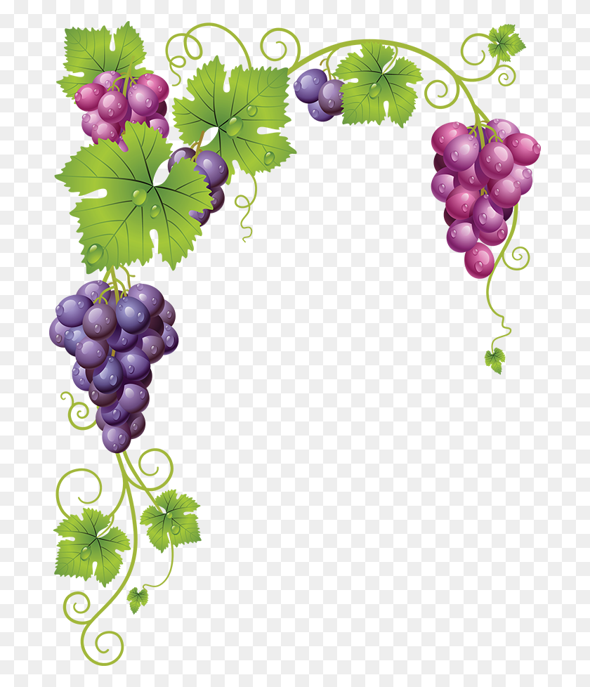 700x918 Tubes Fruits Kartinki Grape Vines, Grape - Imágenes Prediseñadas De Perro Weenie