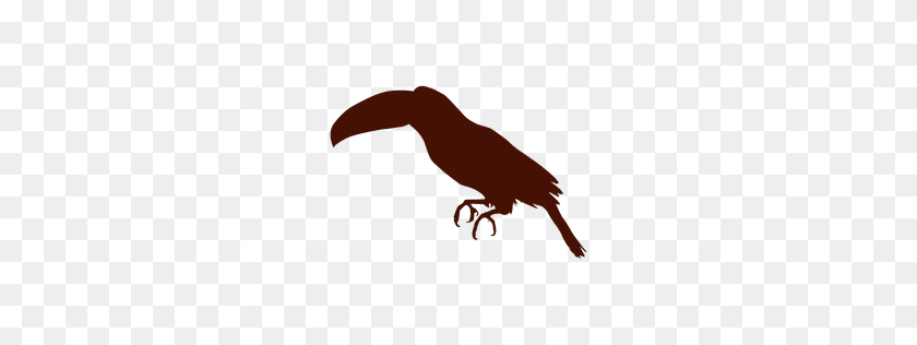 256x256 Tucan Transparent Png Or To Download - Tucan PNG
