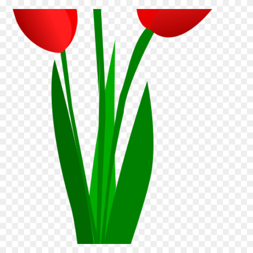 1024x1024 Tulip Clip Art Free Clipart Download - Plantation Clipart