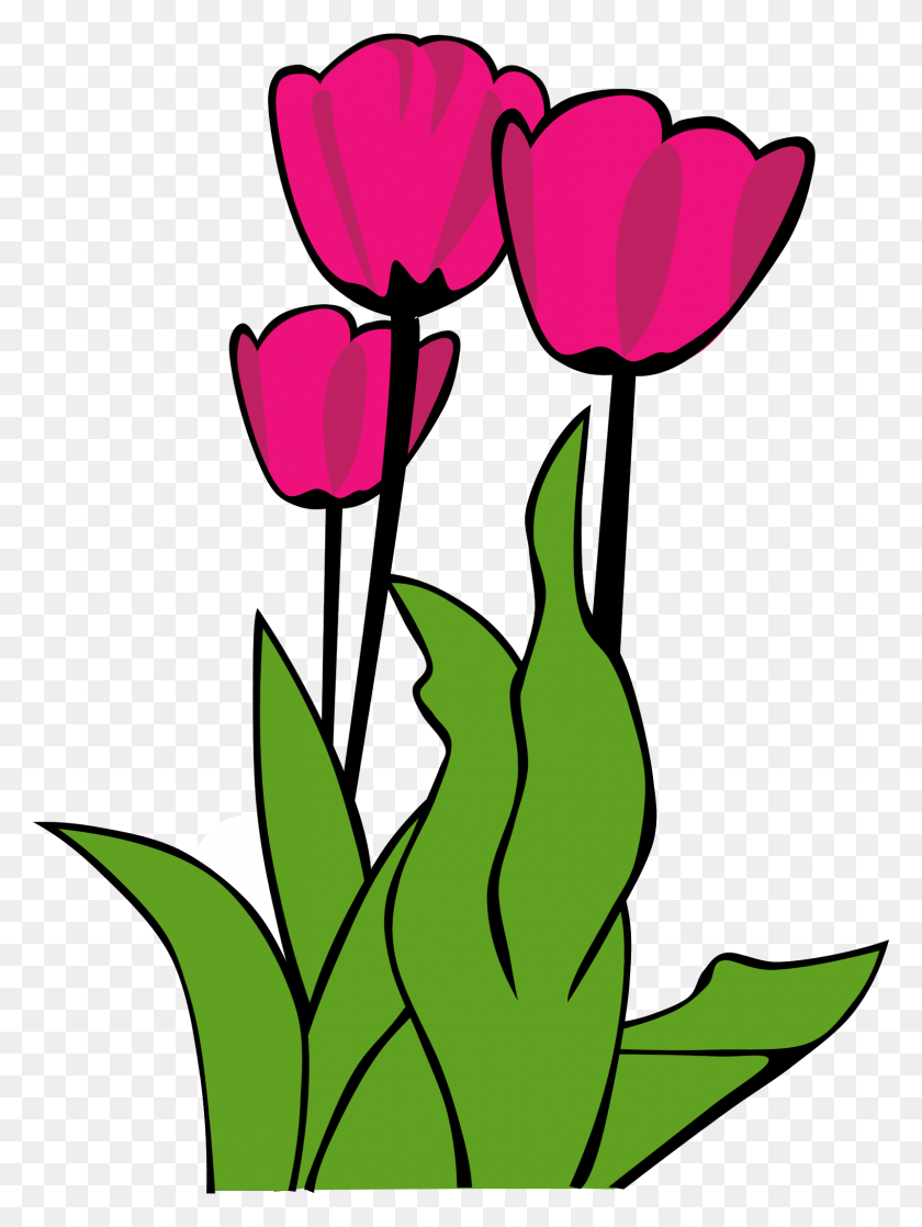1600x2171 Tulip Clipart - Row Of Flowers Clipart