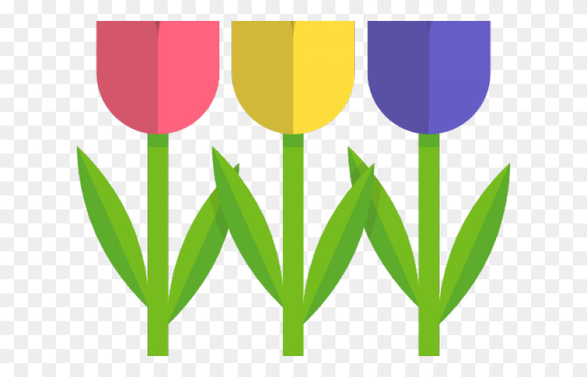 640x480 Tulip Clipart - Flower Bed Clipart