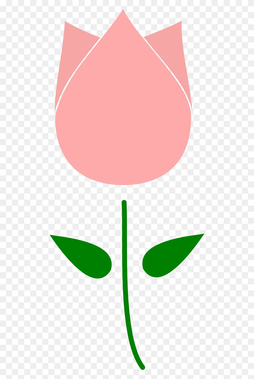 Тюльпан одной линией