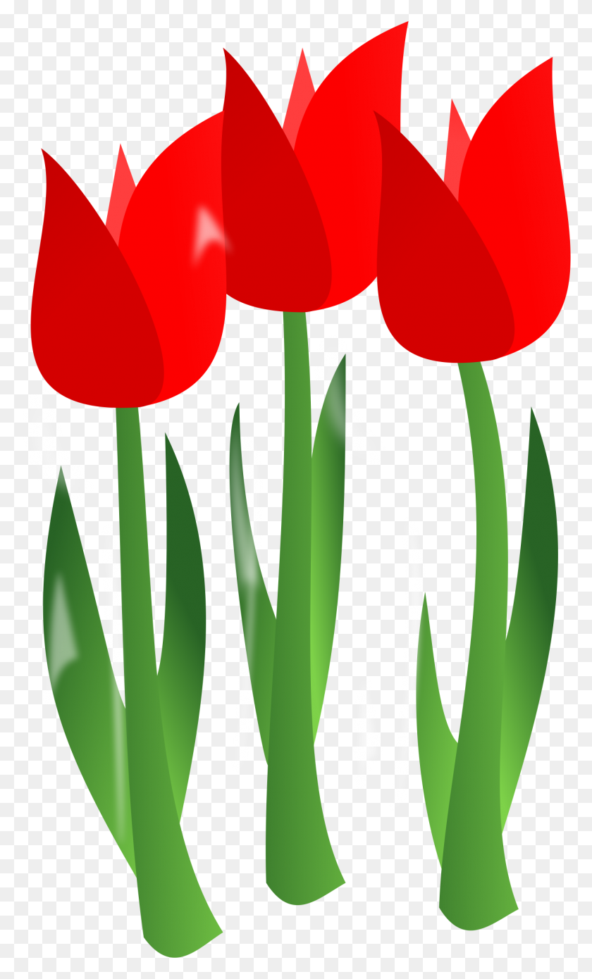 1374x2344 Concierto De Primavera De Tulip Clipart - Concierto De Imágenes Prediseñadas