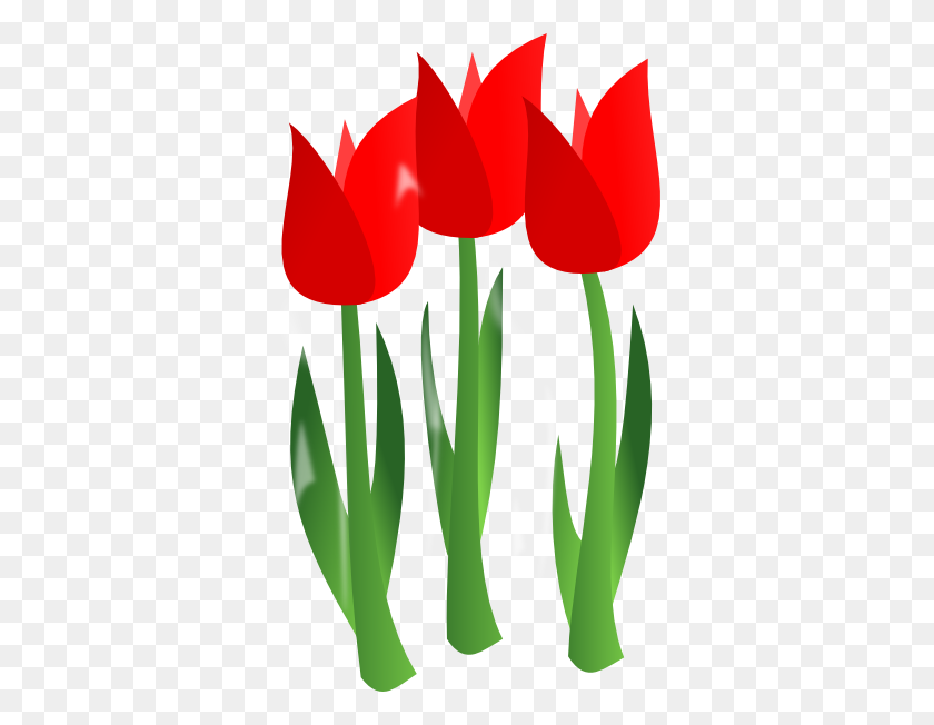 348x592 Tulip Flower Clip Art - Red Flower Clipart