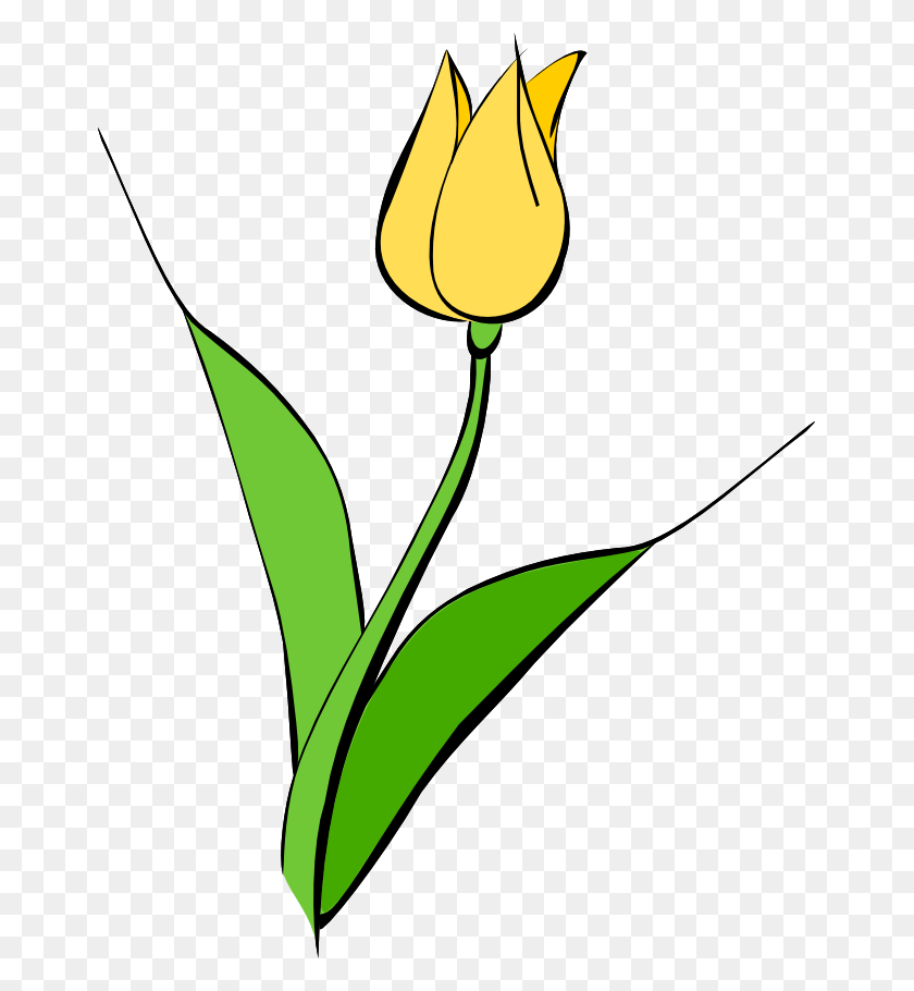 659x850 Tulip Flower Clip Art - Flower Line Clipart