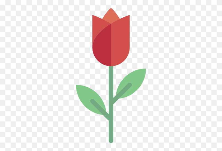 512x512 Тюльпан, Сад, Цветок, Ботанический, Природа, Значок Цветения - Тюльпан Png