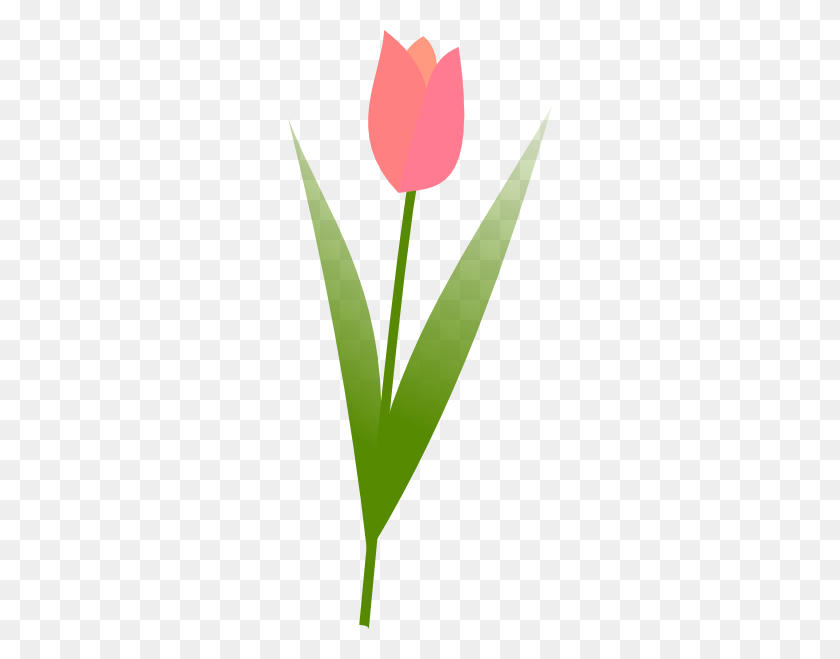 264x599 Tulip Png, Clip Art For Web - Free Tulip Clipart