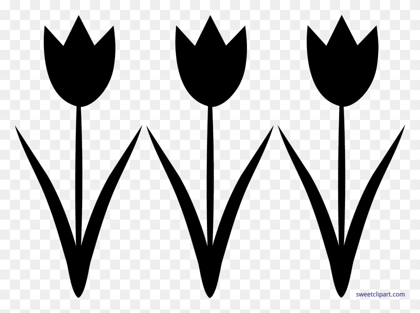 5783x4209 Tulips Black Silhouette Clip Art - Seal Clipart Black And White