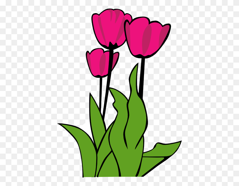 438x594 Tulips In Bloom Clip Art - Blooming Flower Clipart