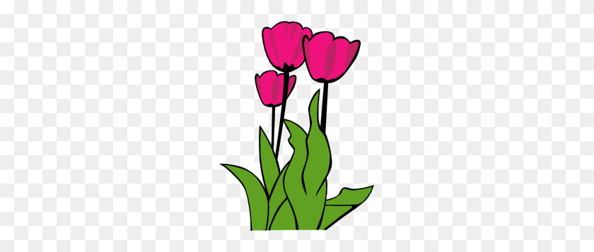219x297 Tulips In Bloom Clip Art Free Vector - Tulips Clipart Black And White