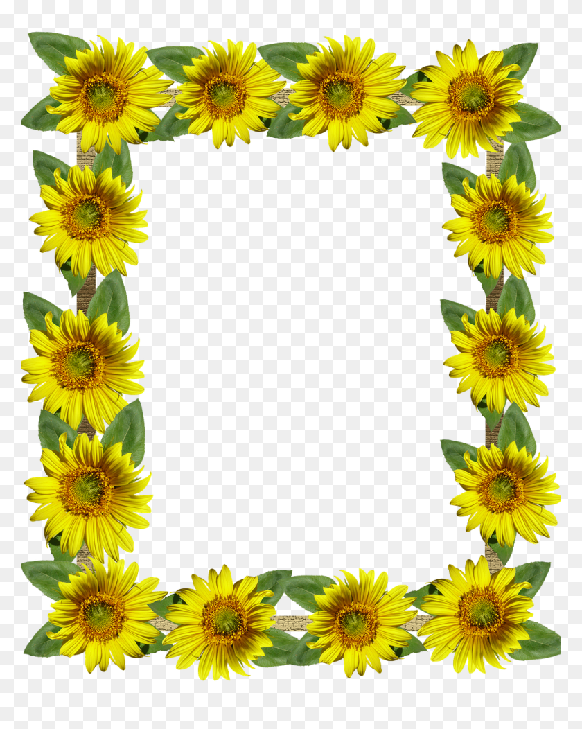 Tumblr Aesthetic Polaroid Frame Frames Sunflowers Sunfl Sunflower