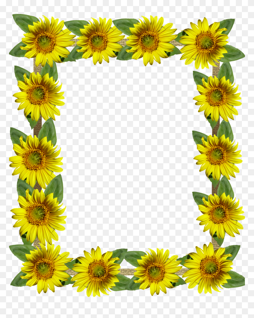 1006x1280 Tumblr Aesthetic Polaroid Frame Frames Sunflowers Sunfl Sunflower - Polaroid Picture Frame PNG