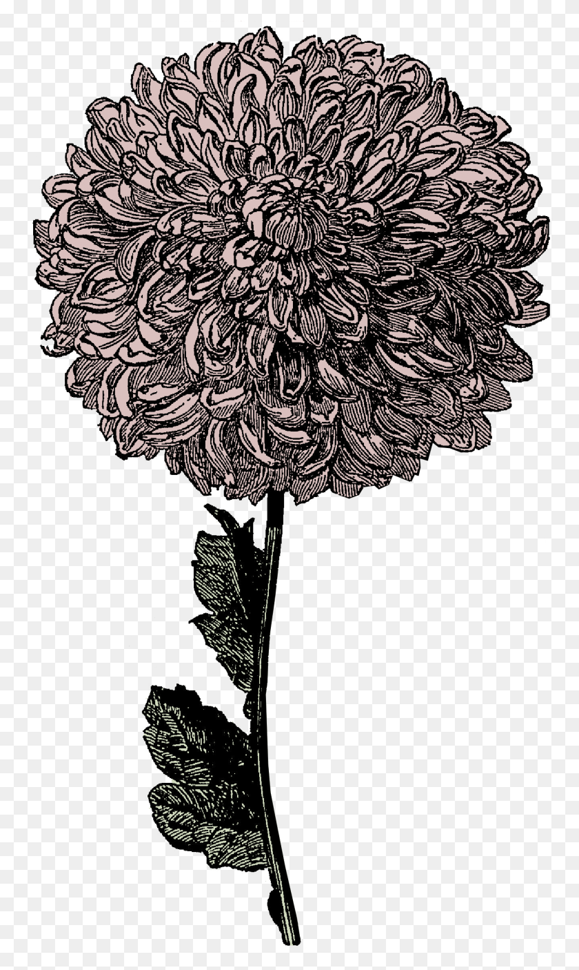 1339x2310 Tumblr Cliparts - Flower Tumblr PNG
