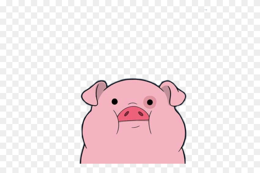 498x498 Tumblr Pig Cute Cutepig Reaction Wallpaper Animal Anime - Tumblr PNG Cute