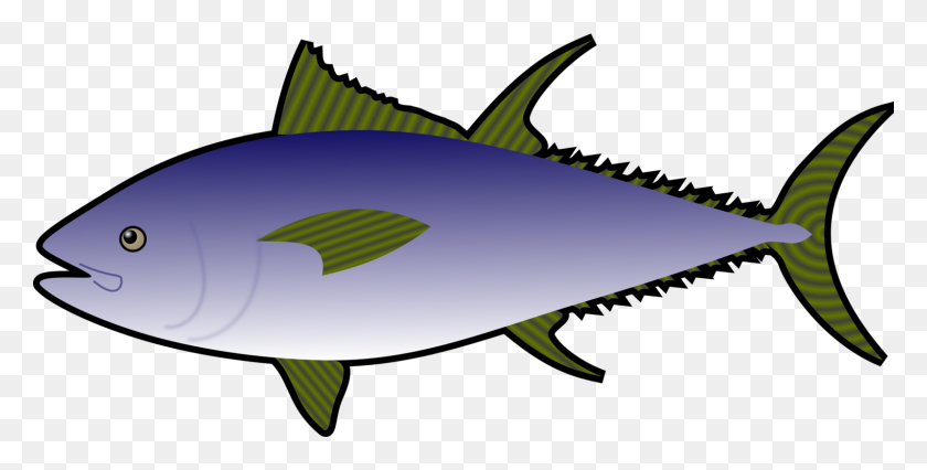 1597x750 Tuna Fish Sandwich Atlantic Bluefin Tuna Albacore Seafood Free - Saltwater Fish Clipart