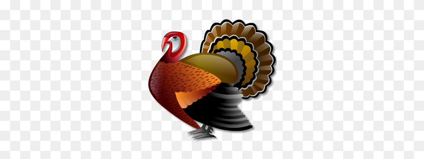 256x256 Turkey Transparent Png Pictures - Cooked Turkey PNG