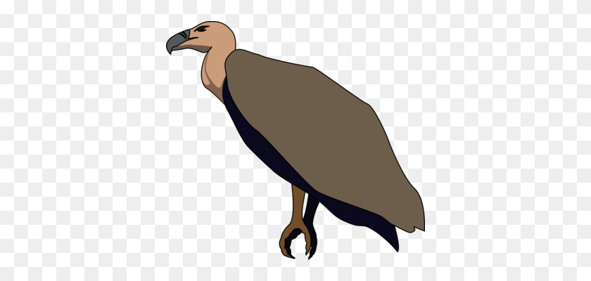 368x340 Turkey Vulture Bird California Condor - Condor Clipart
