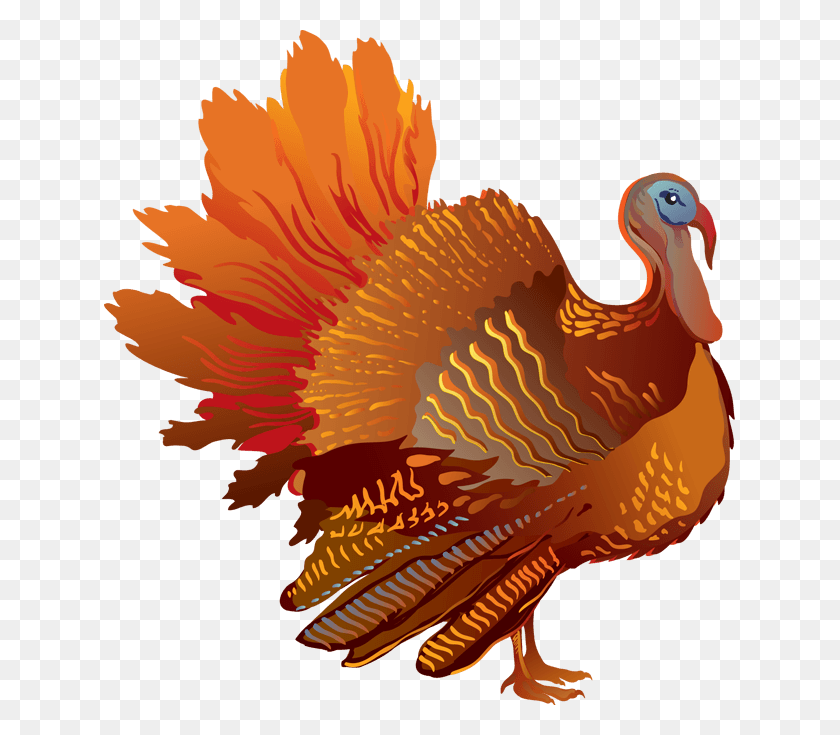 631x675 Turkey Wings Cliparts - Wild Turkey Clipart