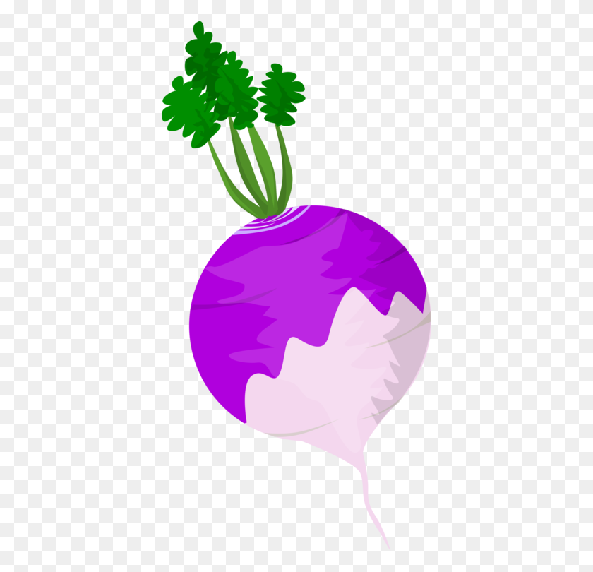 382x750 Turnip Root Vegetables Computer Icons Food - Turnip Clipart