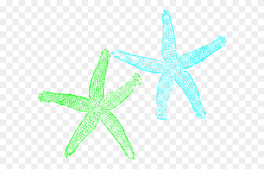 600x477 Turquoise And Lime Green Starfish Png, Clip Art For Web - Sea Star Clipart