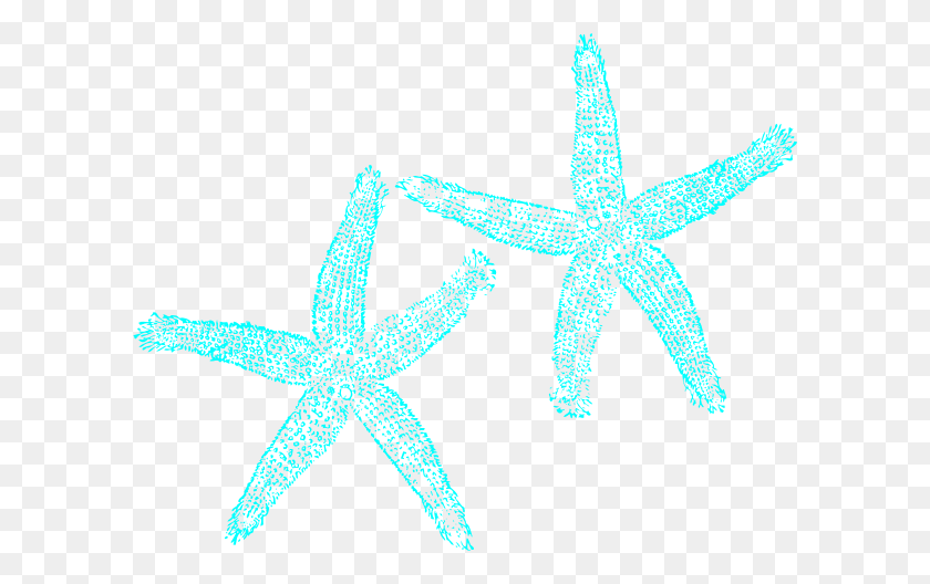 600x468 Turquoise Starfish Clipart - Starfish Clipart Transparent Background