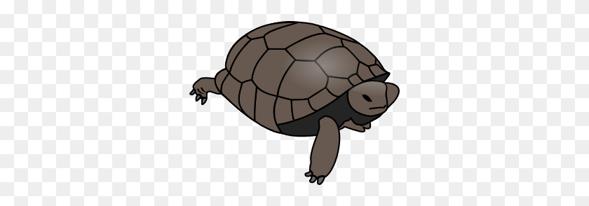 300x234 Tortuga Clipart - Free Turtle Clipart