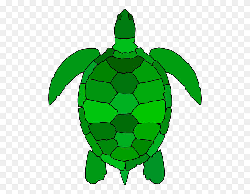 516x594 Turtle Clip Art Free Vector - Free Sea Turtle Clipart