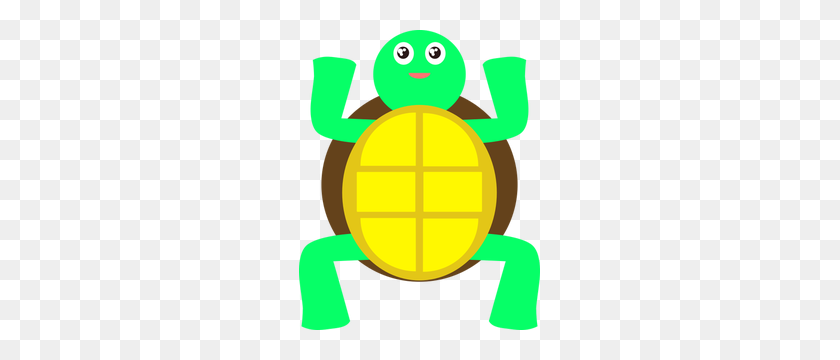 241x300 Бесплатные Изображения Черепахи - Картинки С Изображениями Черепахи Клипарт