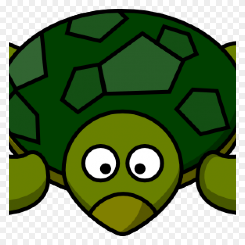 1024x1024 Turtle Images Clip Art Basketball Clipart House Clipart Online - Science Clipart Images