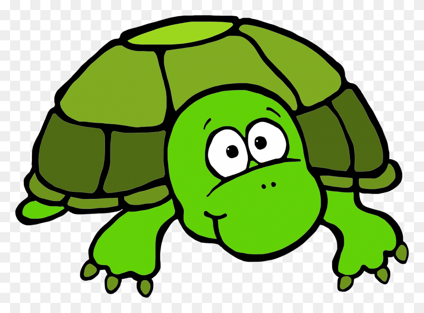 1600x1149 Turtle Images Clipart Gallery Images - Obstacle Course Clipart